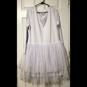 Tooth Fairy Halloween Costume with Accessories